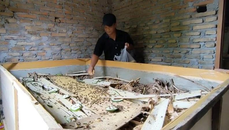 Budi Daya Jangkrik di Tengah Pandemi, Warga Boyolali Ini Raup Omzet Jutaan Rupiah per Bulan