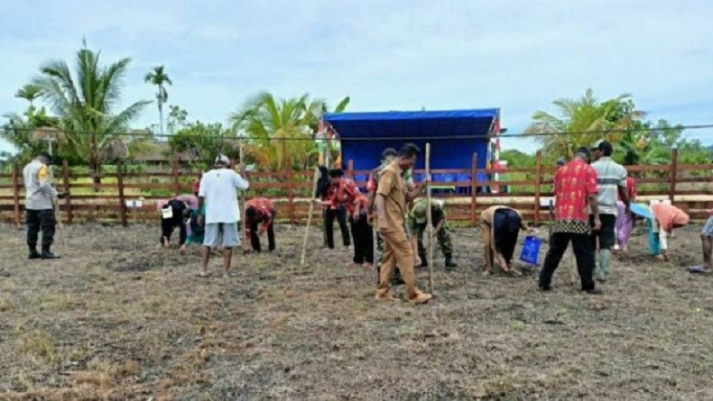 Tanam Padi Dibantu TNI, Petani di Sarmi Papua : Lebih Cepat dari Biasanya