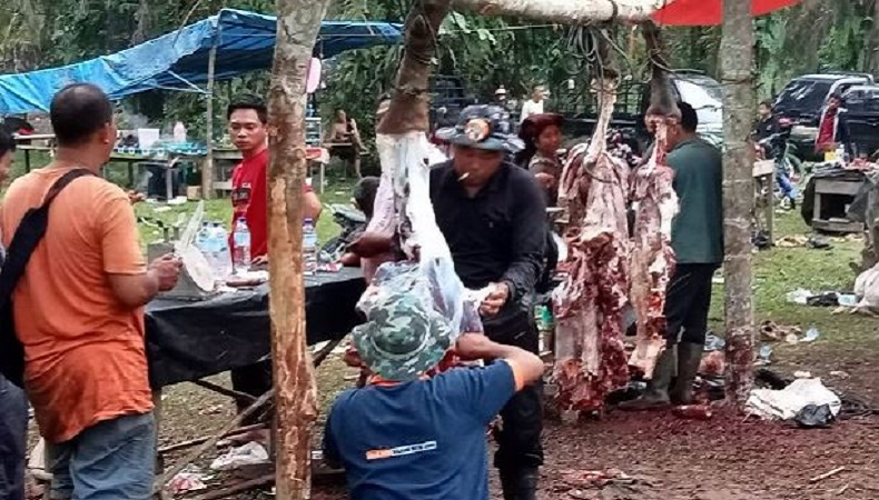 Tradisi Bantai Adat di Jambi Jelang Ramadan, 120 Ekor Kerbau Disembelih