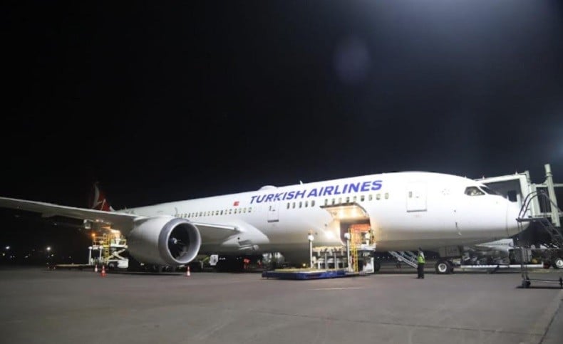 Kemenhub Ungkap Insiden di Turkish Airlines Ternyata Berawal dari Hewan Peliharaan