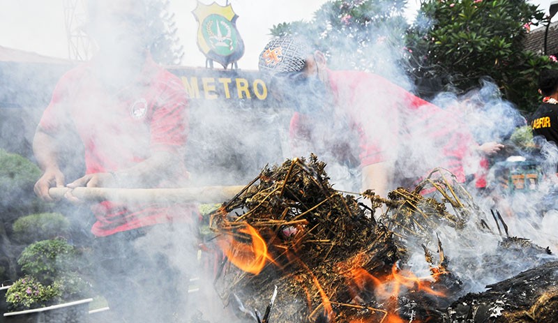 32,7 Kg Ganja Dibakar di Halaman Polres Metro Bekasi Kota - Bagian 1