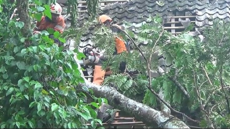 Hujan Disertai Angin Kencang di Magelang, Sejumlah Rumah Rusak Tertimpa Pohon
