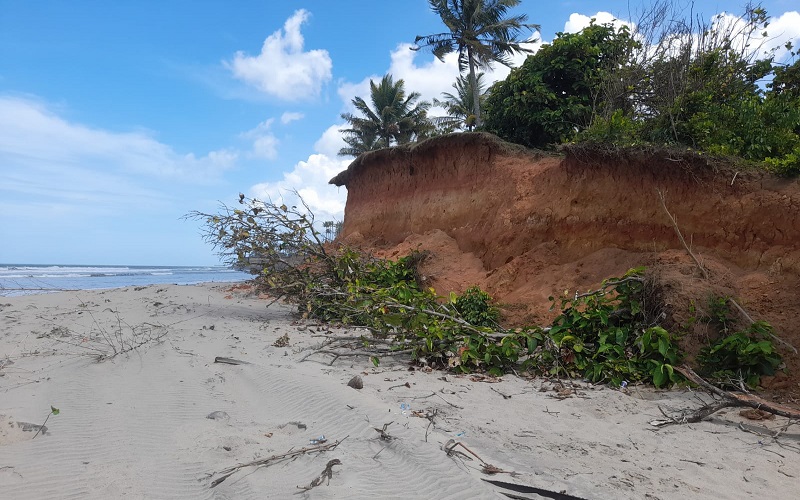 15 Km Daratan di Bengkulu Utara Hilang akibat Abrasi, Ratusan KK Terancam