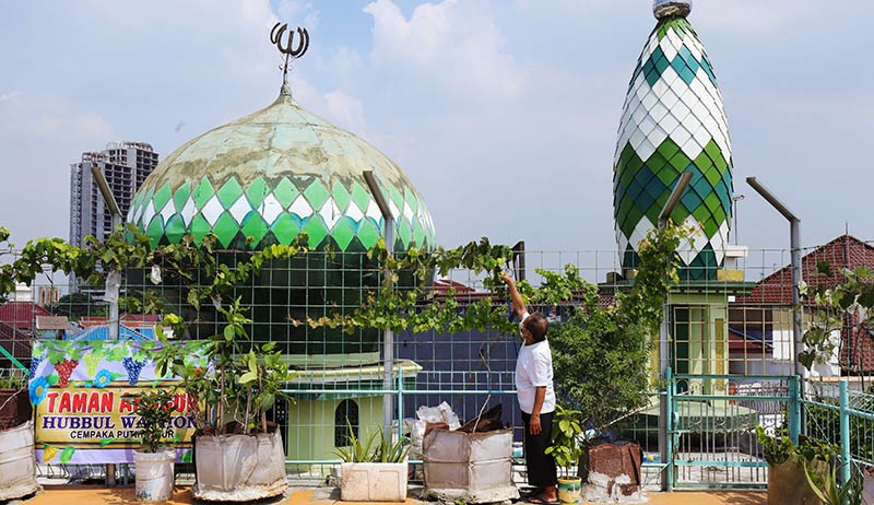 Budi Daya Anggur di Atap Masjid Hubbul Wathon Cempaka Putih - Bagian 4