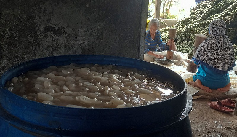 Melihat Pembuatan Kolang-Kaling di Kampung Kokolaka Jatirejo saat Ramadan - Bagian 2