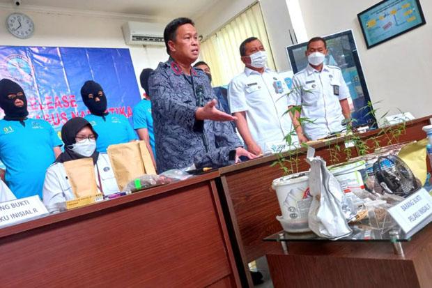 title BNNP DIY Tangkap Seorang Warga Sleman yang Tanam 13 Batang Ganja dalam Pot BNNP DIY Tangkap Seorang Warga Sleman yang Tanam 13 Batang Ganja dalam Pot