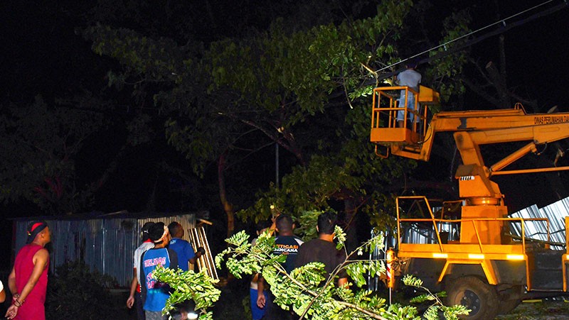 Bencana Angin Kencang di Madiun, Pohon dan Tiang Listrik Tumbang - Bagian 2