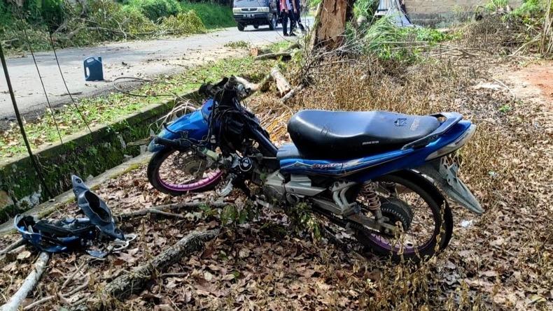 Tabrak Pohon Tumbang, Pengendara Sepeda Motor di Bangka Barat Patah Tulang
