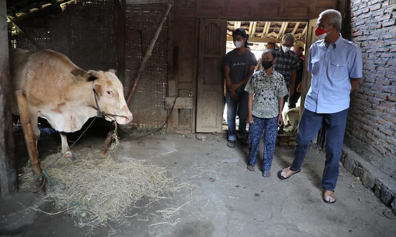 title Kaget Lihat Warga Karanganyar Serumah dengan Sapi, Ganjar Perintahkan Ini ke Kepala Desa Kaget Lihat Warga Karanganyar Serumah dengan Sapi, Ganjar Perintahkan Ini ke Kepala Desa