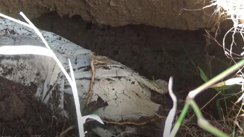 title Ajaib, 20 Tahun Terkubur Kain Kafan Utuh dan Tampak Baru saat Makam Longsor Ajaib, 20 Tahun Terkubur Kain Kafan Utuh dan Tampak Baru saat Makam Longsor
