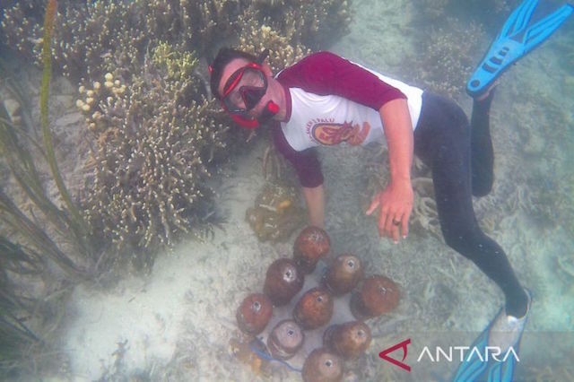 title Metode Bioreeftek, Desa Kabalutan Budi Daya Terumbu Karang Gunakan Tempurung Kelapa Metode Bioreeftek, Desa Kabalutan Budi Daya Terumbu Karang Gunakan Tempurung Kelapa
