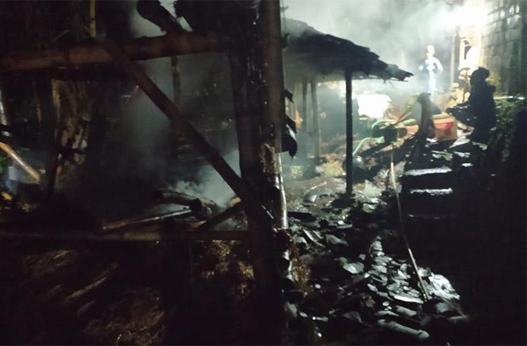 Bakar Sampah untuk Usir Nyamuk, Kandang Sapi Milik Warga Gunungkidul Ikut Hangus