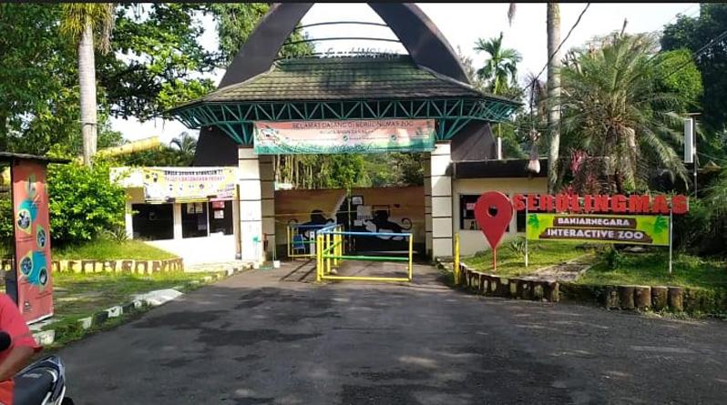 8 Fakta Perawat Satwa di Banjarnegara Tewas Diterkam Harimau, Nomor 6 Mengerikan