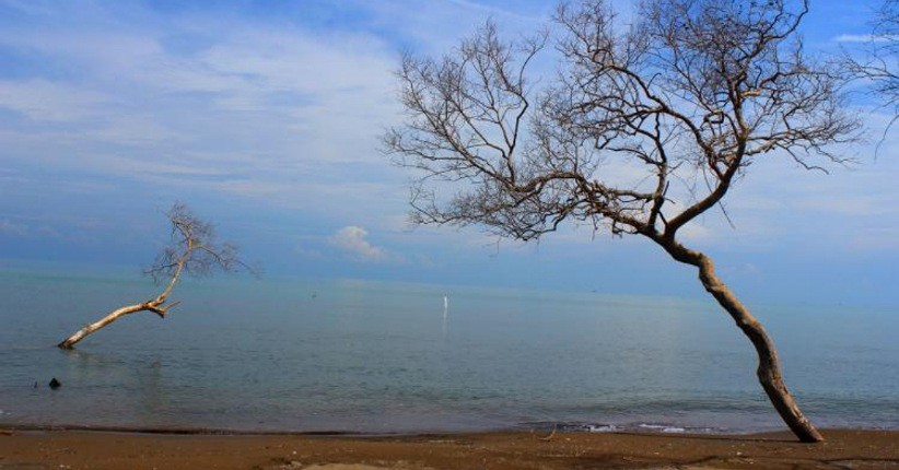 5 Destinasi Pantai Dekat Bandung, Nomor 3 Unik Air Lautnya Tiga Warna