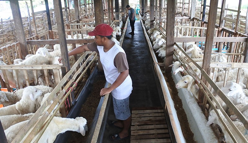Jasa Penitipan Hewan Ternak, Biaya Rp3.000 per Hari - Bagian 1