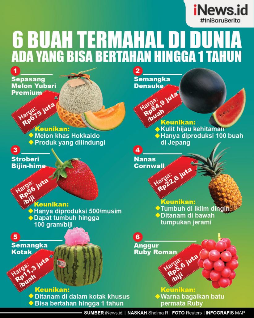 Infografis 6 Buah Termahal di Dunia, Ada yang Bisa Bertahan hingga 1 Tahun