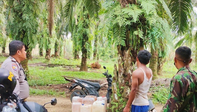 Dengar Auman Harimau, Warga Rokan Hulu Ketakutan Ngungsi dari Rumah