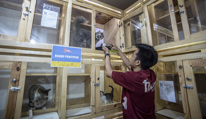 Jasa Penitipan Hewan Meningkat Jelang Lebaran, Tarif hingga Rp150.000 per Hari - Bagian 1