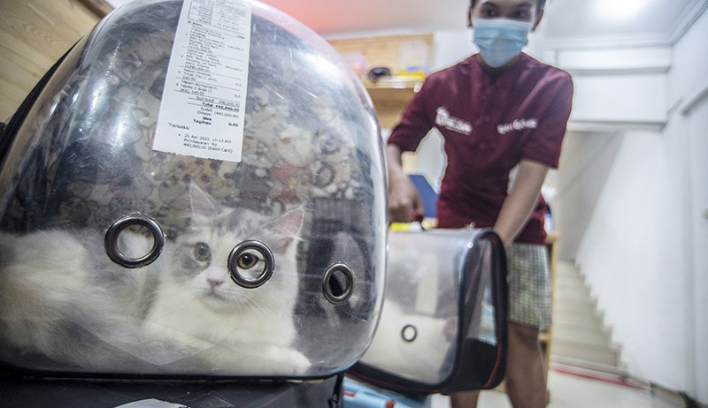 Jasa Penitipan Hewan Meningkat Jelang Lebaran, Tarif hingga Rp150.000 per Hari - Bagian 2