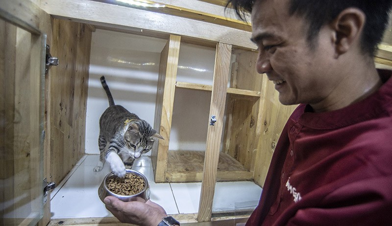 Jasa Penitipan Hewan Meningkat Jelang Lebaran, Tarif hingga Rp150.000 per Hari - Bagian 3