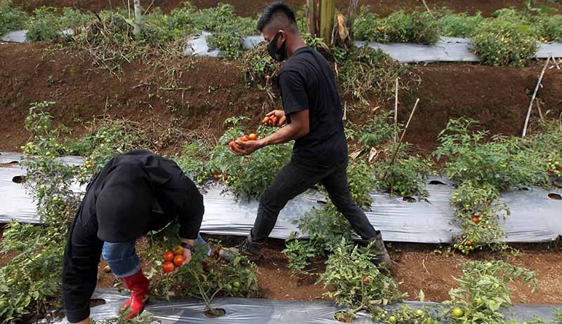 Momentum Hari Bumi, Perkuat Kerja Sama Hutan Organik Megamendung  - Bagian 3