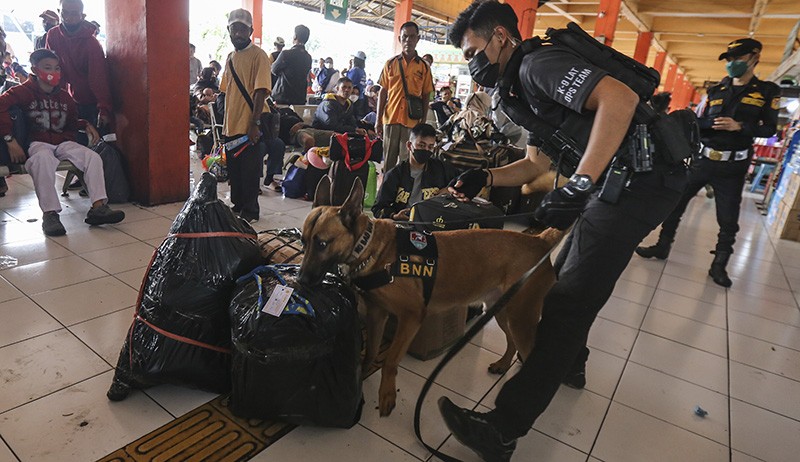 Cegah Peredaran Narkotika, Anjing Pelacak BNN Periksa Barang Bawaan Pemudik - Bagian 3