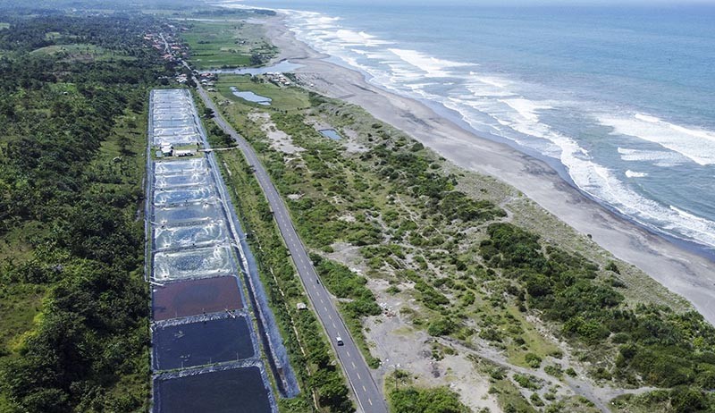 Jalur Pantai Selatan Sepi, Pemudik Bisa Menikmati Keindahan Alam - Bagian 5