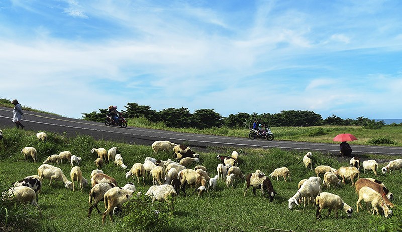 Jalur Pantai Selatan Sepi, Pemudik Bisa Menikmati Keindahan Alam - Bagian 4