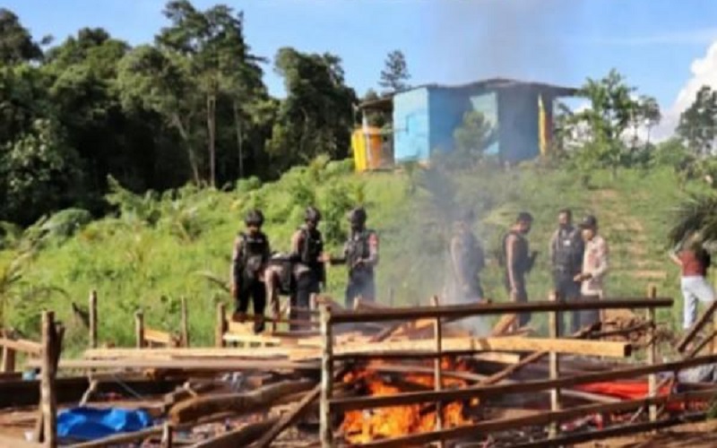 Judi Sabung Ayam di Berau Berkedok Acara Adat Digerebek, Para Pelaku Kabur
