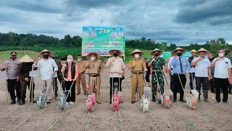 Tingkatkan Kesejahteraan Masyarakat, Pemkab Morowali Utara Luncurkan 2 Program Pro Rakyat