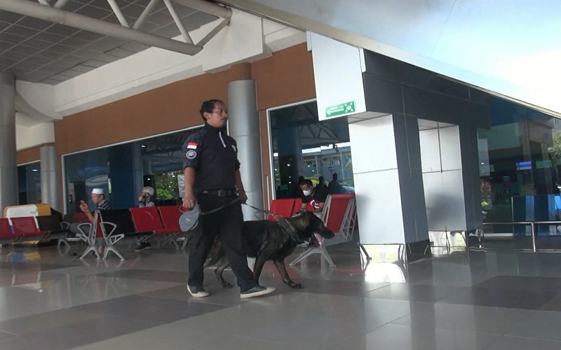 BNNP Sumsel Kerahkan Anjing Pelacak Periksa Barang Pemudik dan Kargo Bandara