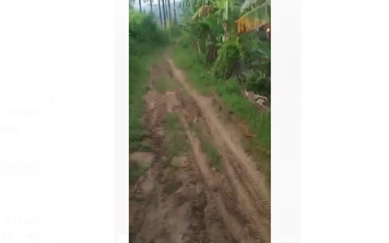 Cerita Aneh Pemudik Tersesat di Hutan, Bingung Cari Sinyal hingga Diselamatkan Polisi