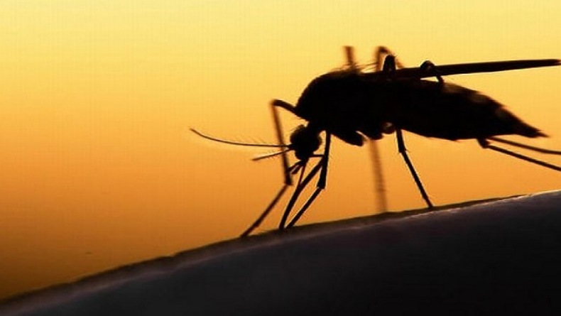 7 Orang Meninggal akibat DBD, Warga Kota Bandung Diminta Waspada Pancaroba