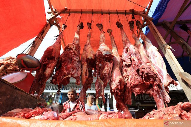 Jaga Harga dan Stok, PT Berdikari Mobilisasi Sapi dari Sumbawa