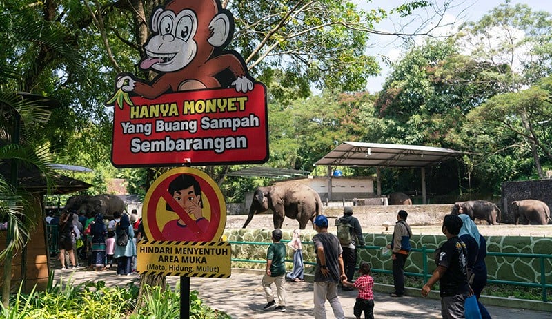 Pengunjung Gembira Loka Zoo Melonjak Tahun Ini - Bagian 1