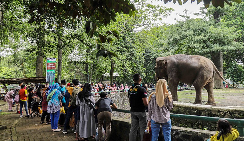 Suasana Libur Lebaran di Taman Margasatwa Ragunan - Bagian 1