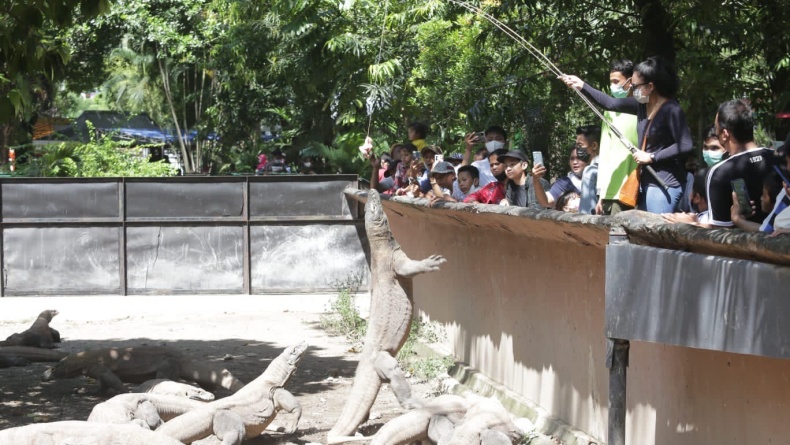 title Warga Surabaya Isi Liburan Lebaran di KBS, Bisa Beri Makan Komodo Warga Surabaya Isi Liburan Lebaran di KBS, Bisa Beri Makan Komodo