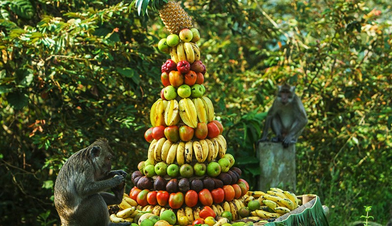 Tradisi Rewanda Warga Kampung Talun Kandri Gunungpati di Goa Kreo Semarang - Bagian 3