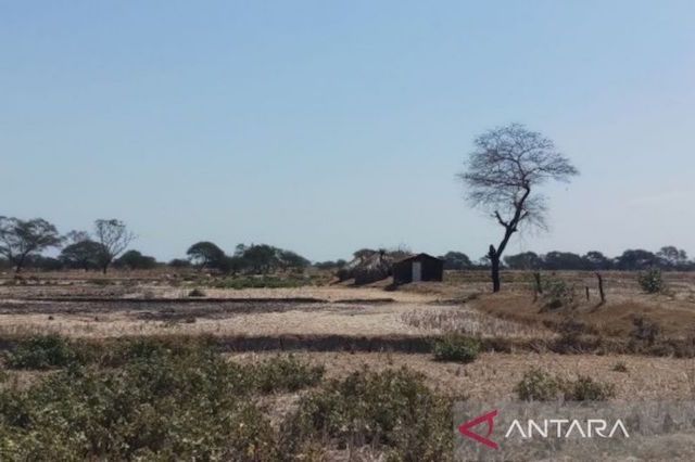 Musim Kemarau, Petani NTT Diminta Hemat Air