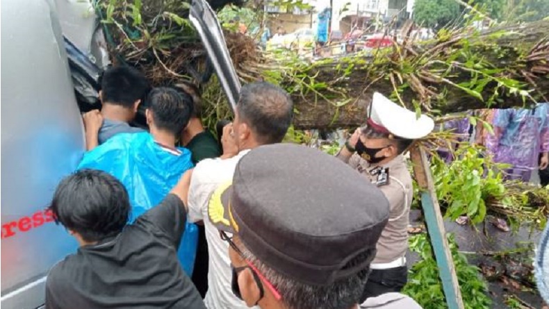 Pohon Tumbang Timpa Mobil di Pasaman Barat, Bayi 2 Tahun Tewas