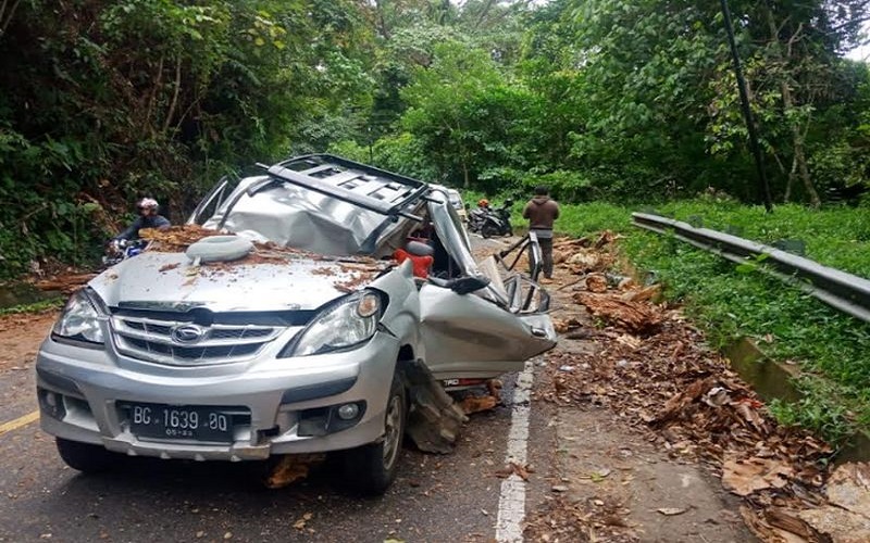 Mengerikan, Pemudik Asal Sumsel Tewas Tertimpa Pohon di Taba Penanjung Bengkulu