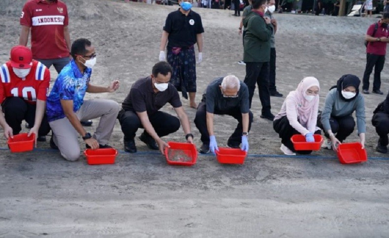 Lepas Tukik di Pantai Kuta, Maruf Amin Dapat Penjelasan Siklus Hidup Penyu