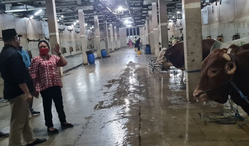 Jaga Stok Daging, Komisi B DPRD Jatim Minta Penanganan PMK Komprehensif 