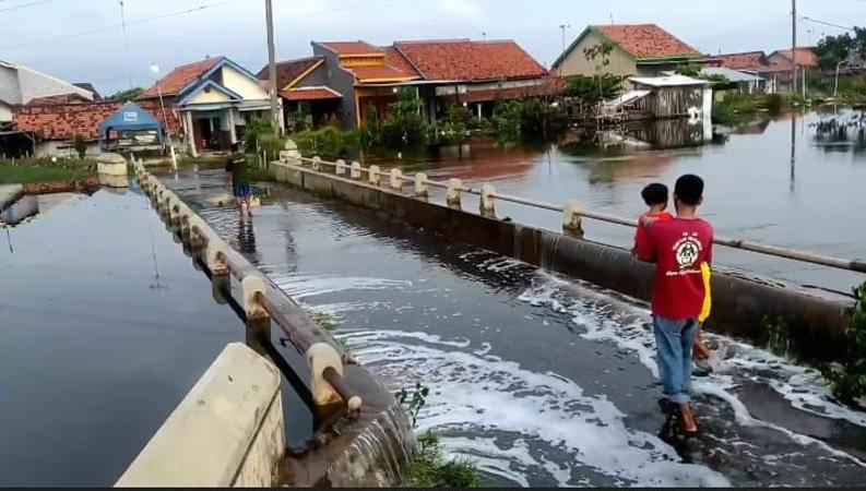  Banjir Rob Terjang Pekalongan, Ratusan Rumah Warga Terendam