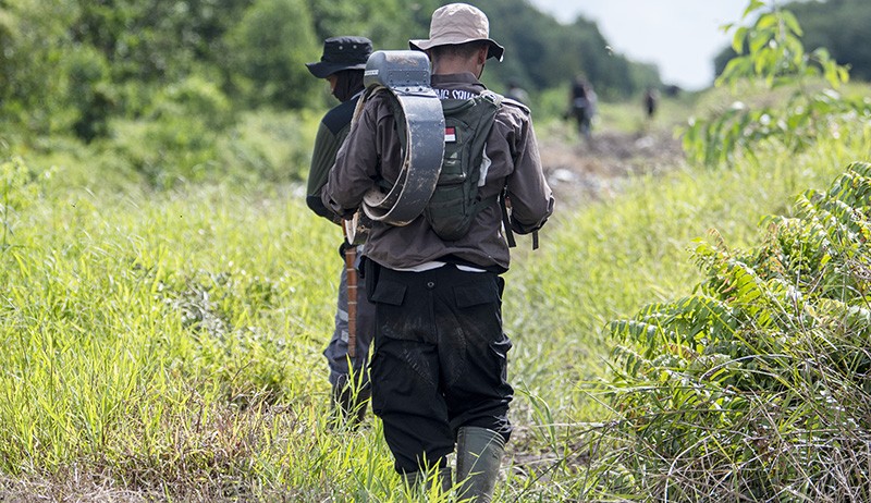 Ketika Pawang Memasang GPS Collar ke Dua Gajah Sumatera Liar - Bagian 3