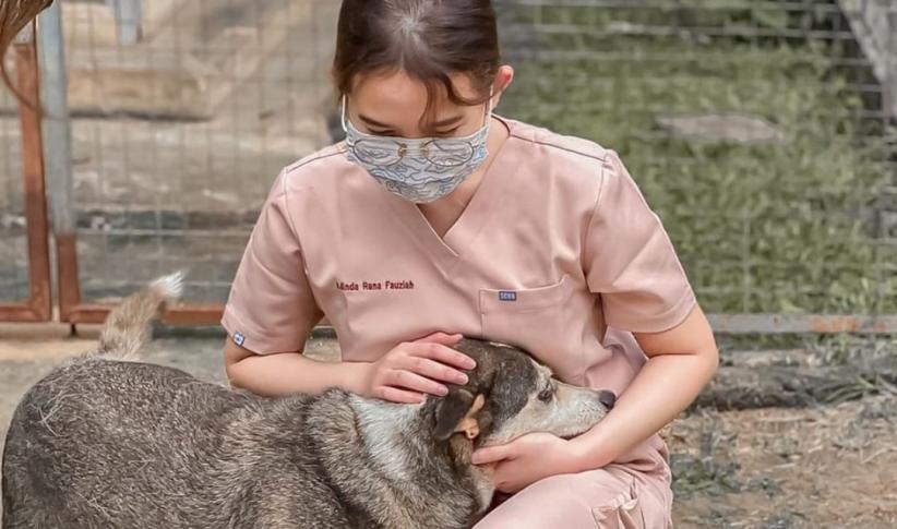 Mengintip Profesi Dokter Hewan, Ada yang Pilih Jadi Aktivitis Perlindungan Binatang Telantar