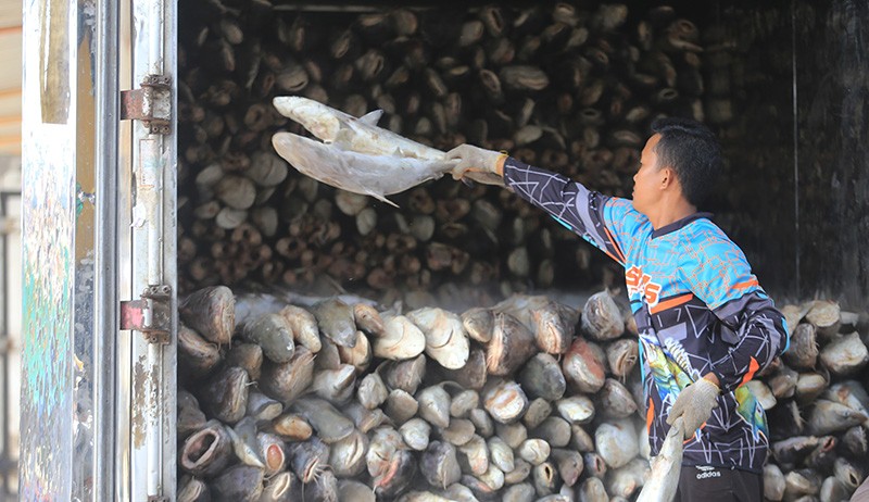 Ekspor Perikanan Indonesia Kuartal I 2022 Capai Rp21,95 Triliun - Bagian 1