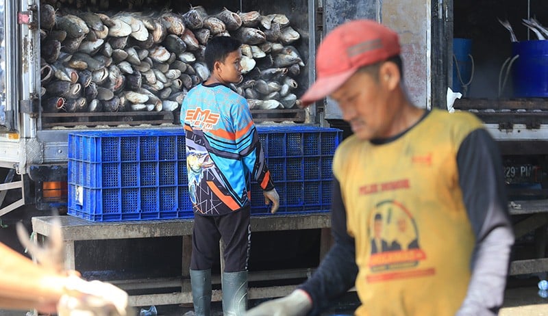 Ekspor Perikanan Indonesia Kuartal I 2022 Capai Rp21,95 Triliun - Bagian 2