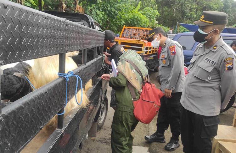 Cegah Penularan Penyakit Kuku dan Mulut, Polres Purworejo Intensifkan Pengawasan Ternak