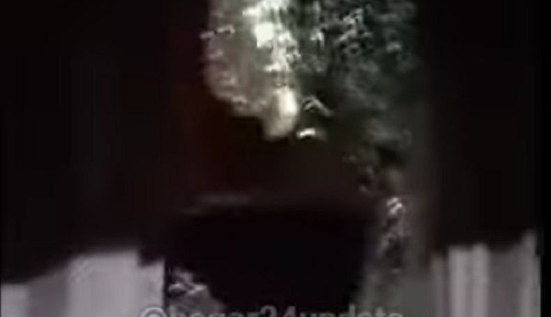 Viral Kaca Bus Dilempar Batu OTK di Bogor, Polisi Buru Pelaku